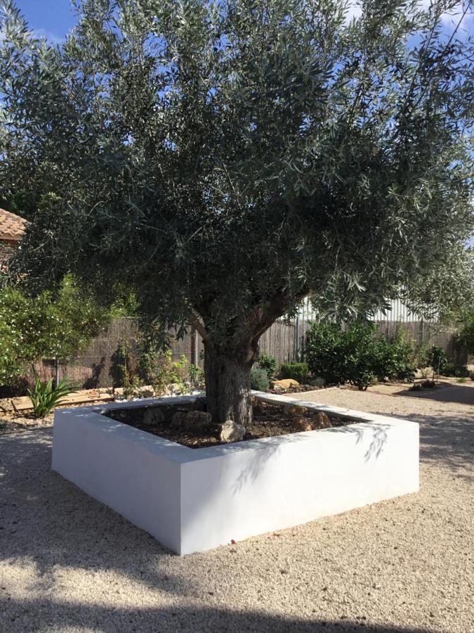 Relax En La Huerta De Murcia Ngoại thất bức ảnh